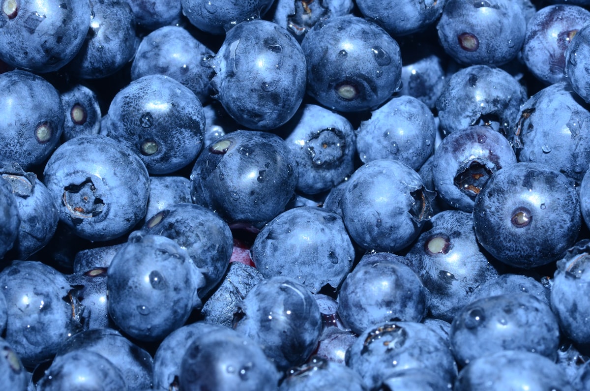 Brain health resources